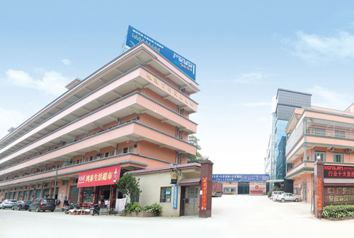 戰略升級 共探發展